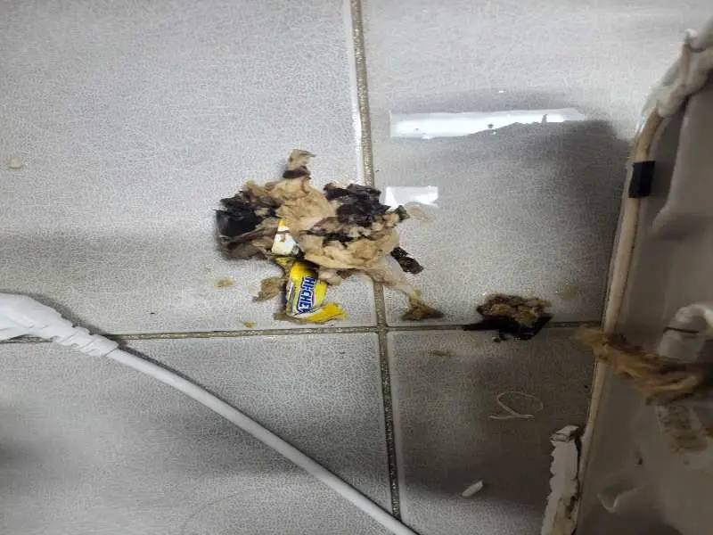 연천 배관 이물질 제거 사례